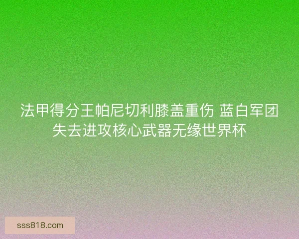 法甲得分王帕尼切利膝盖重伤 蓝白军团失去进攻核心武器无缘世界杯