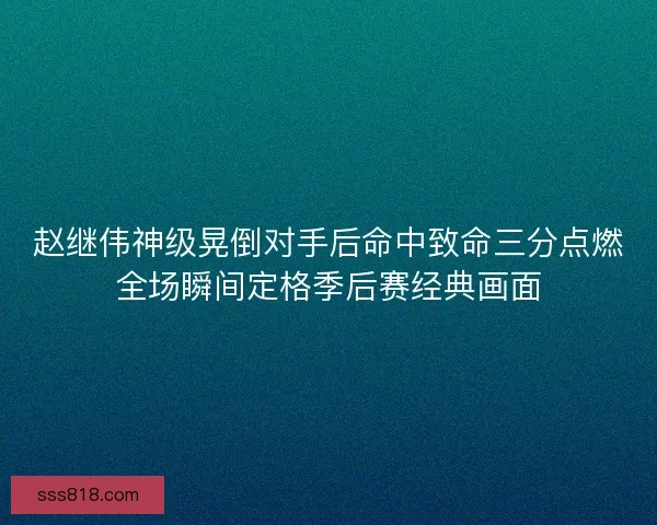 赵继伟神级晃倒对手后命中致命三分点燃全场瞬间定格季后赛经典画面