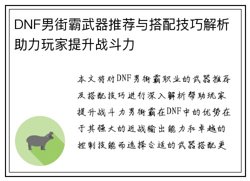 DNF男街霸武器推荐与搭配技巧解析 助力玩家提升战斗力